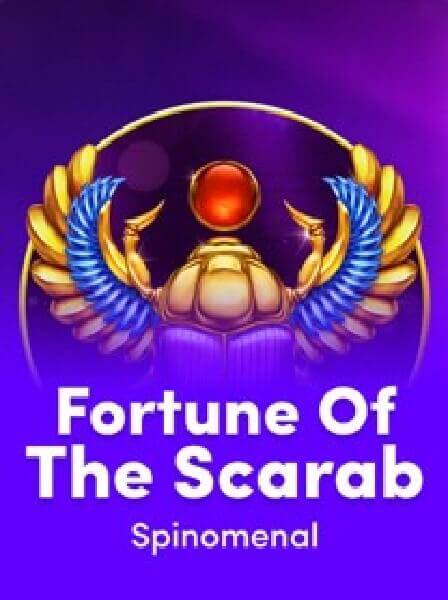 Success Stories: How TourneyKing Transformed Player Experiences