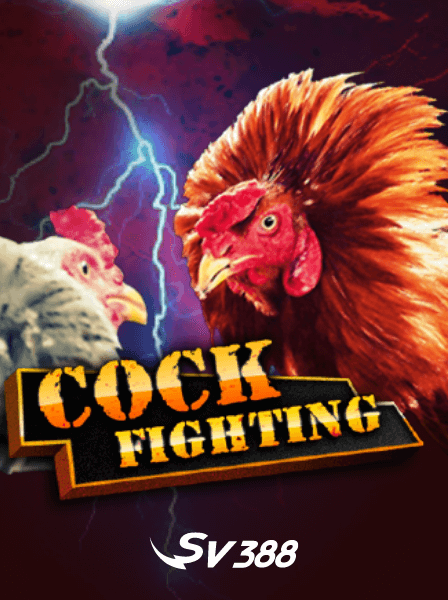 Khám phá thế giới Poker Việt Nam và những chiến thuật thắng lợi