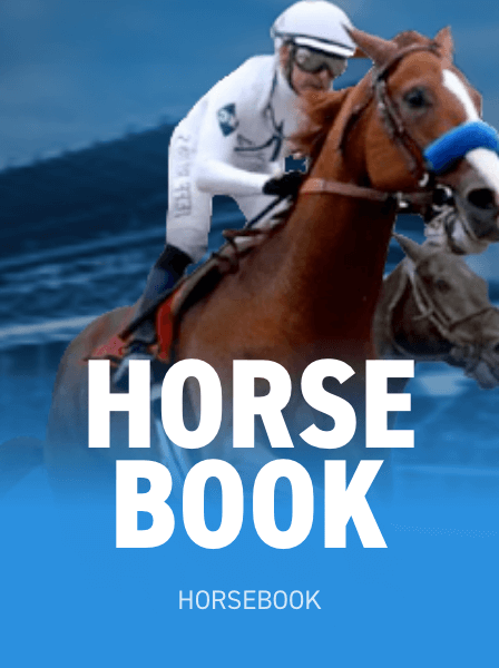 The User-Friendly Interface of RapidBet: A Game Changer